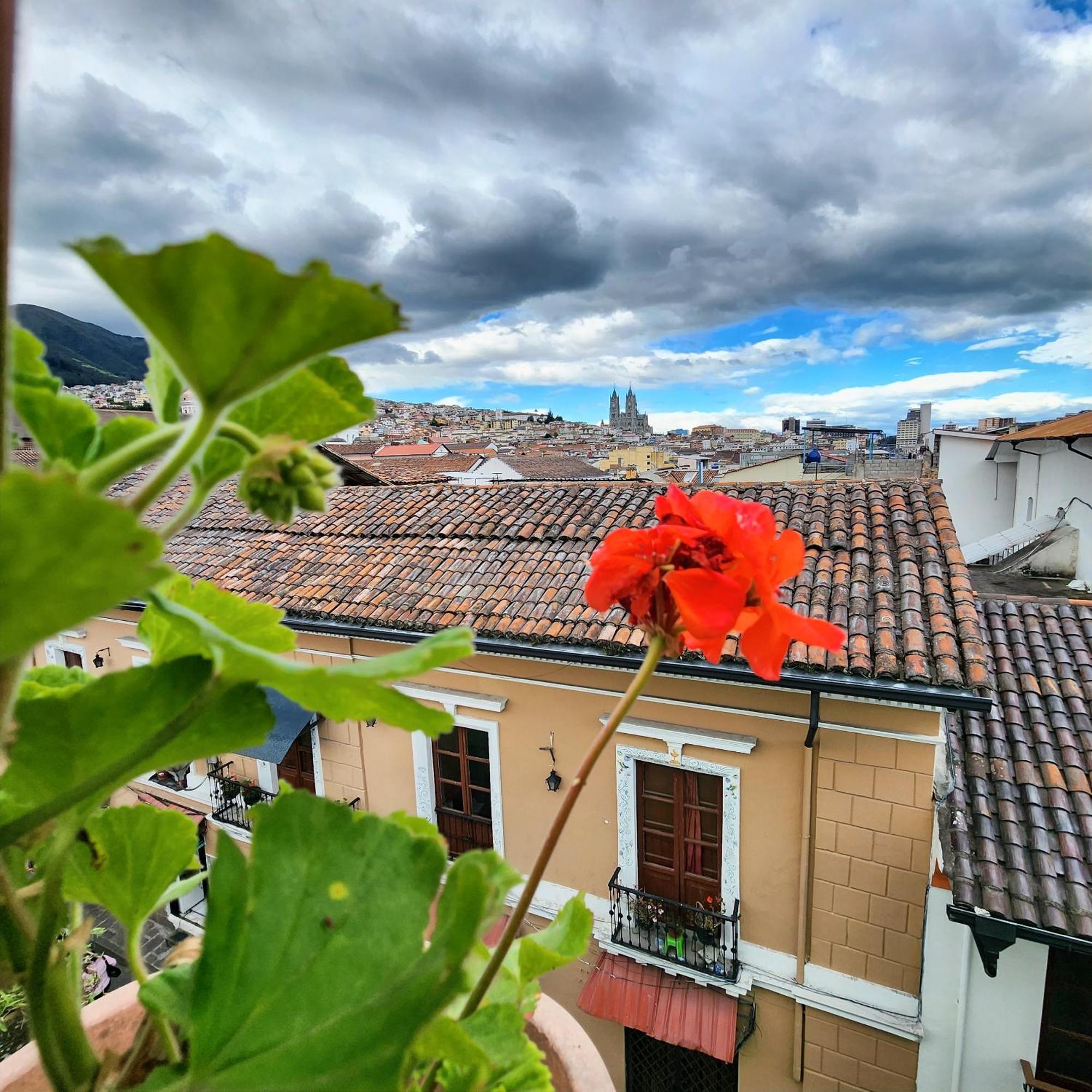 Hotel Boutique Casa San Marcos Quito Dış mekan fotoğraf
